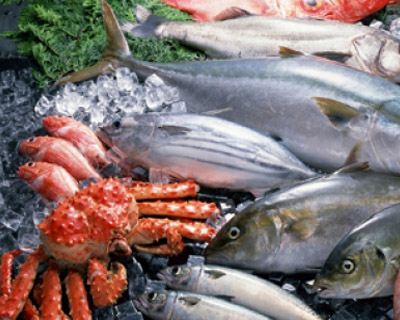 水产养殖行业解决方案