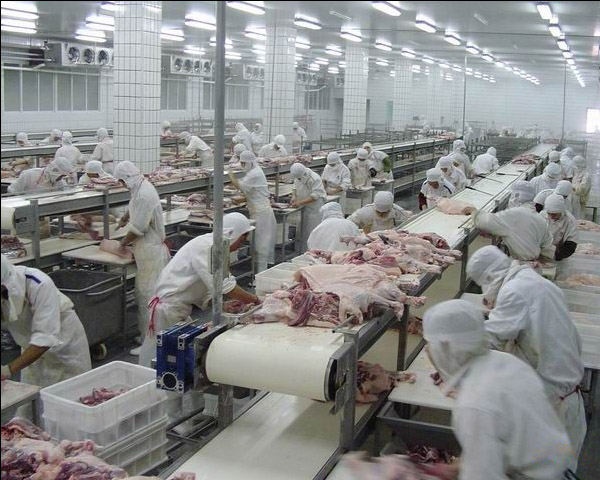 食品冷库设计方案