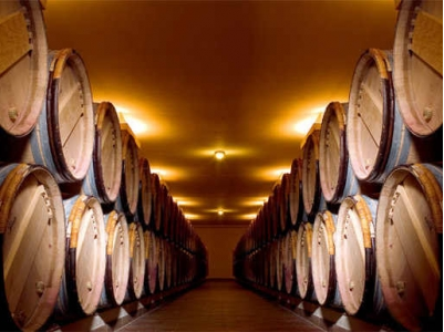 酿酒工艺、饮料生产